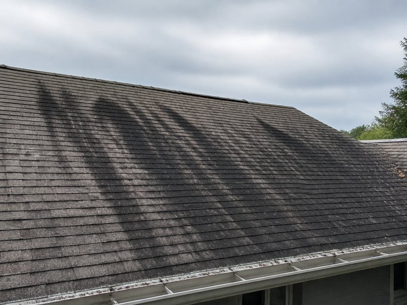 Roof covered in black algae streaks before soft wash cleaning in Dunedin, FL